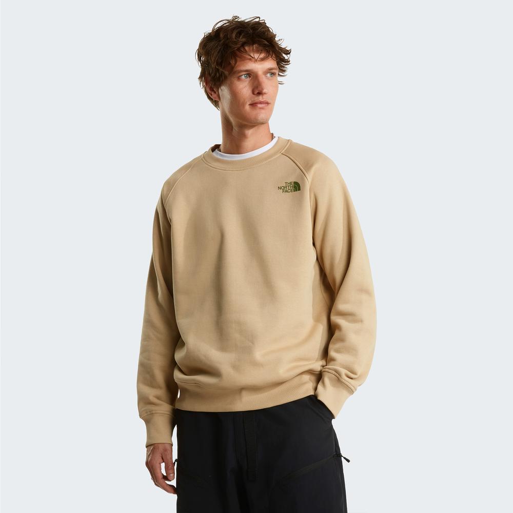 Bluza męska The North Face Raglan Box NS Crew 0A89FALK51 - beżowa