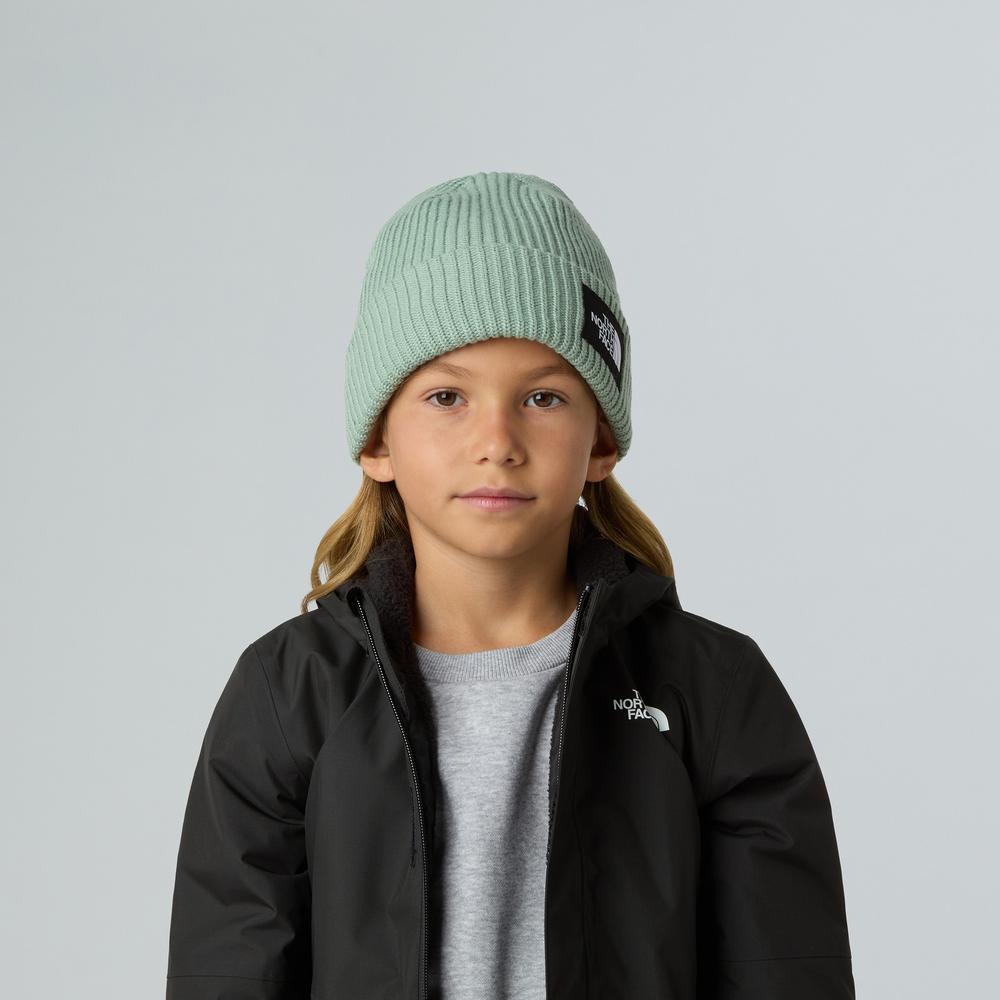 Czapka dziecięca The North Face Beanie Salty 0A8CGSBQ11 - zielona