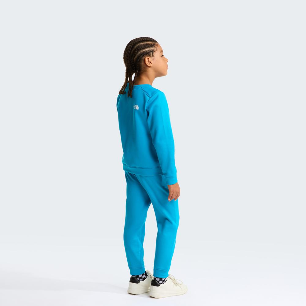 Dres dziecięcy The North Face Performance 0A8CV0D7R1 - niebieski