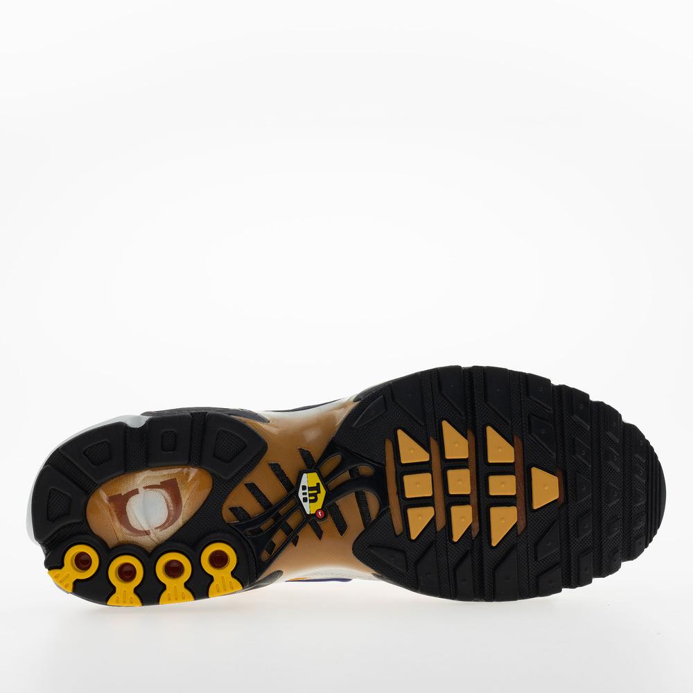 Buty męskie Nike Air Max Plus FZ3308-700 - multikolor