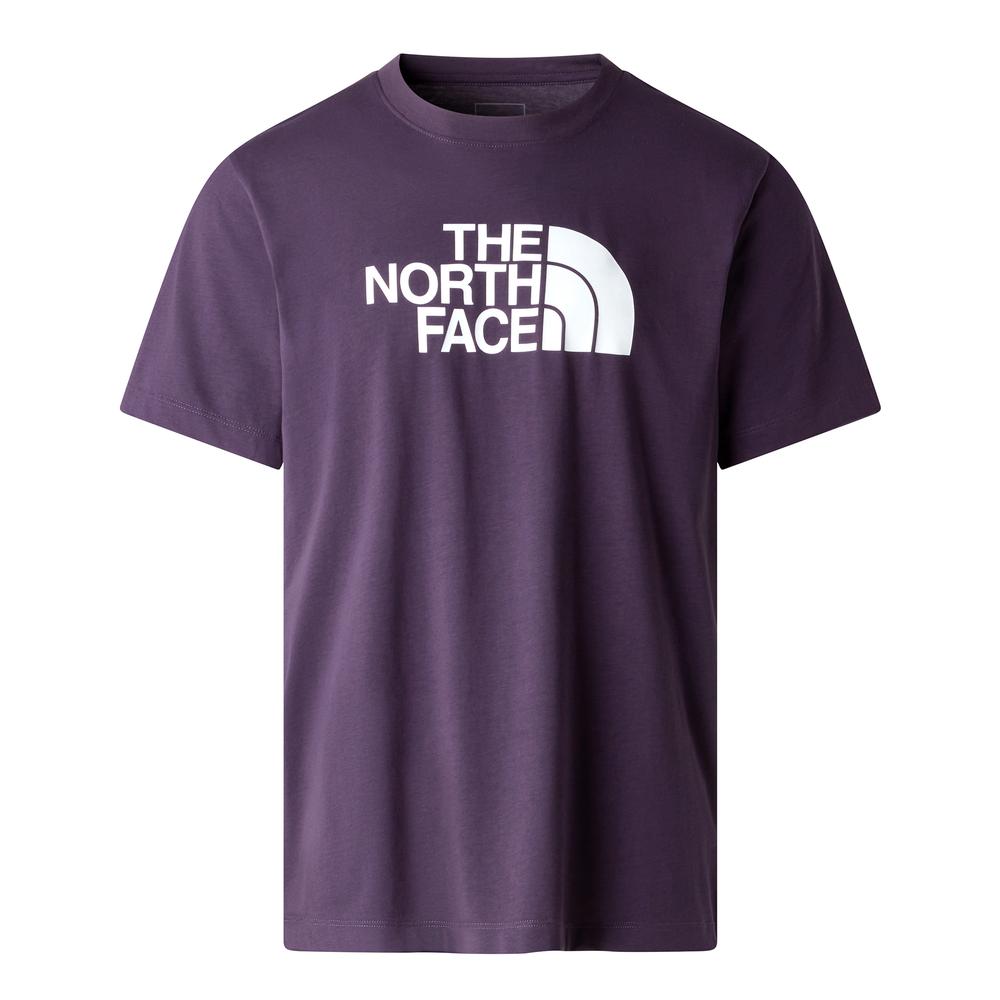 Koszulka męska The North Face Evolution Half Dome 0A8B6JG5O1 - fioletowa