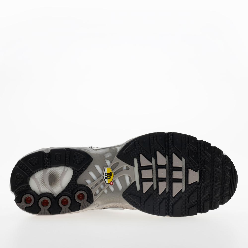 Buty męskie Nike Air Max Plus IB7679-200 - szare
