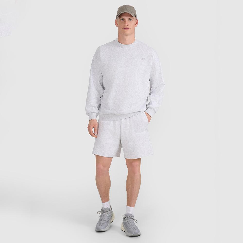 Spodenki męskie 4F WSS25TSHOU54427M - szare