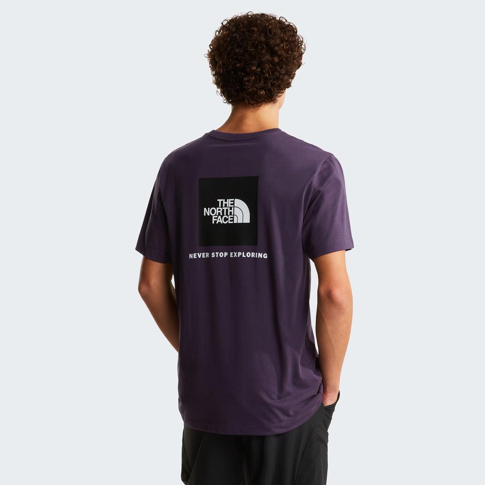 Koszulka męska The North Face Evolution NSE Box 0A8B6KG5O1 - fioletowa