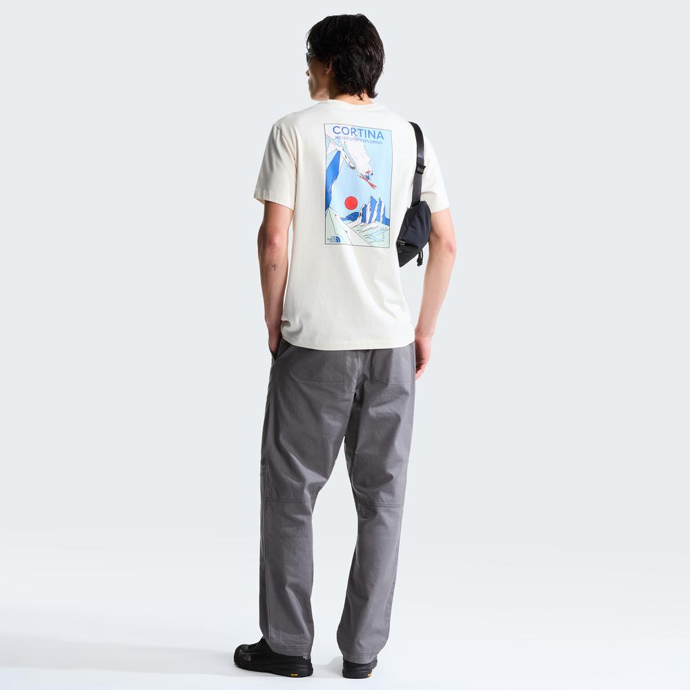 Koszulka męska The North Face Mountain Celebration 0A8G9ZQLI1 - biała