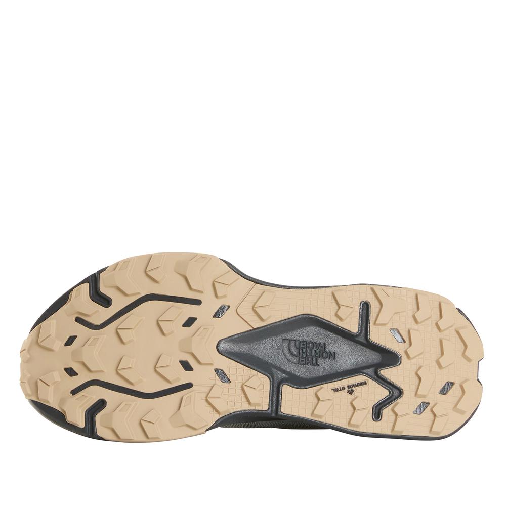 Buty męskie The North Face Altamesa 500 V2 0A8DAJTFL1 - szare