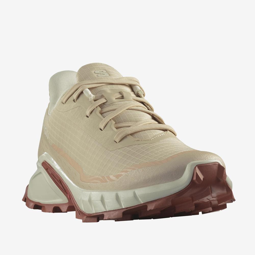 Buty Salomon Alphacross 5 L47460200 - beżowe