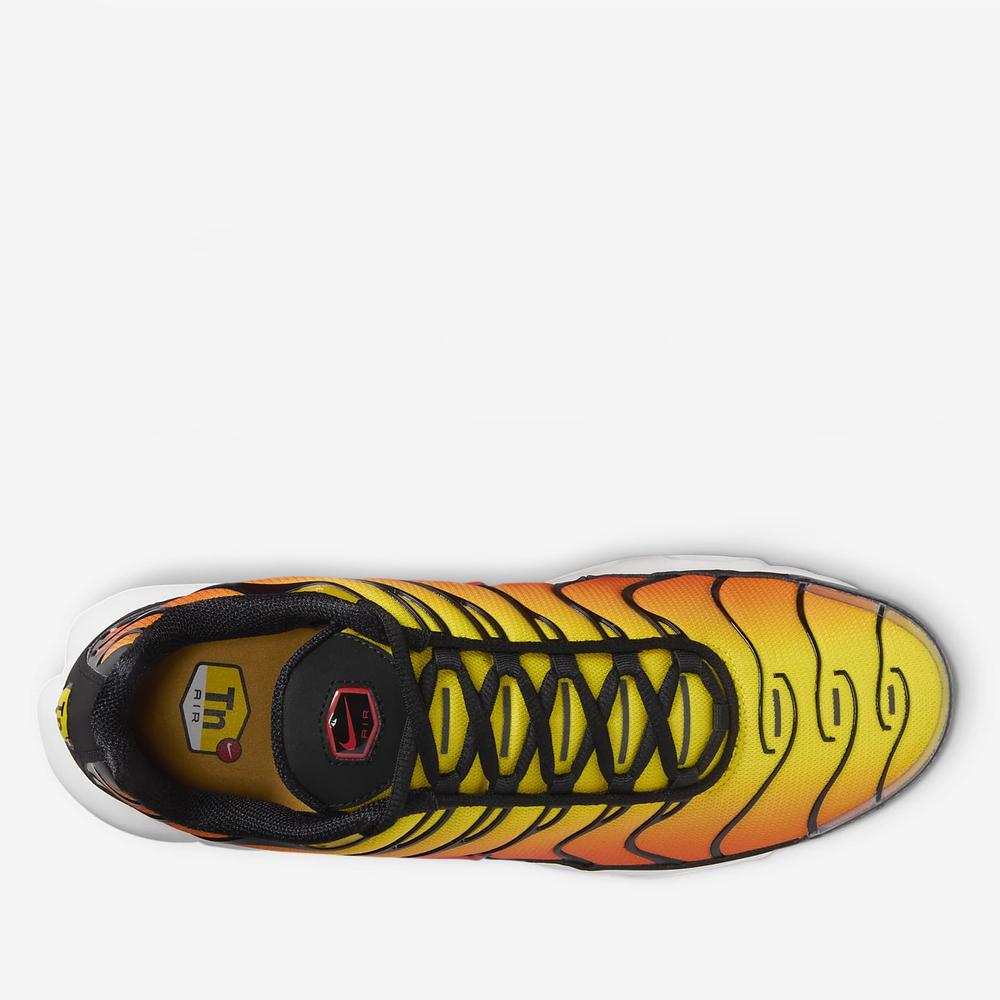 Buty Nike Air Max Plus HF0552-001 - multikolor