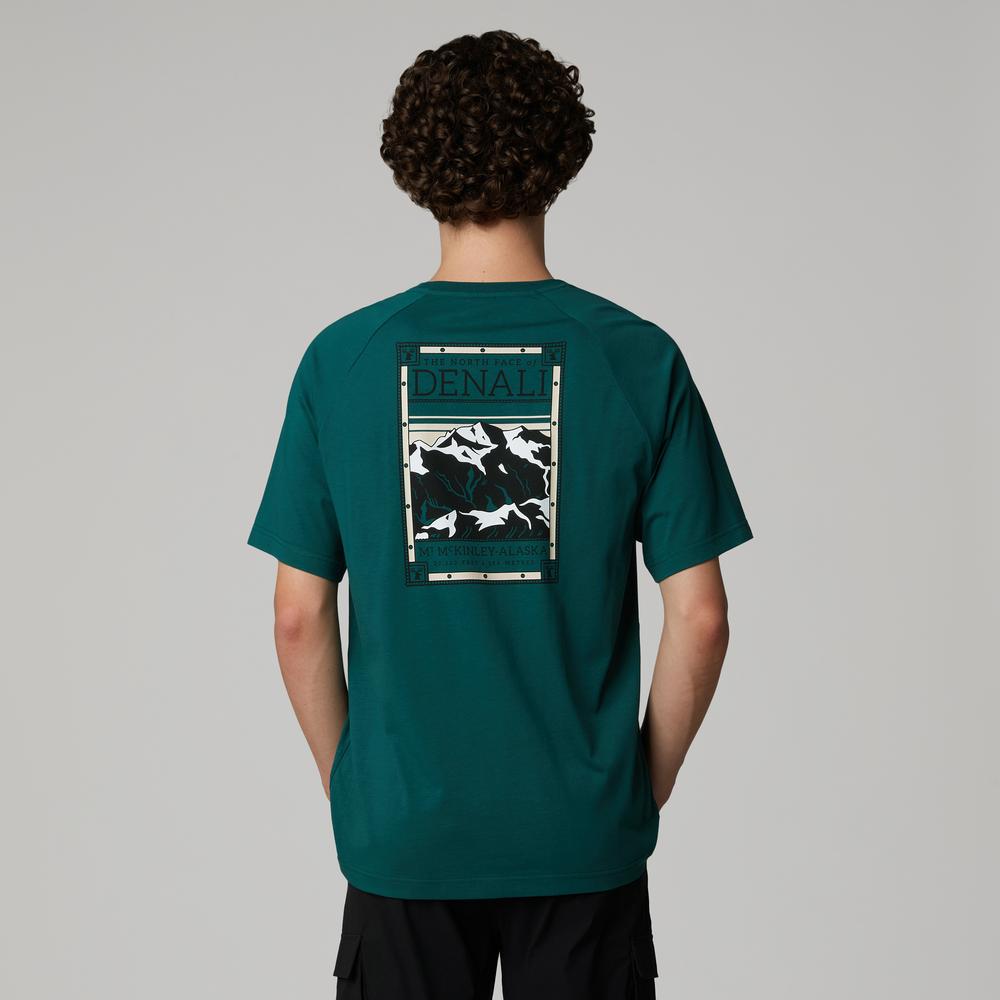 Koszulka męska The North Face North Faces 0A87NU6GI1 - zielona