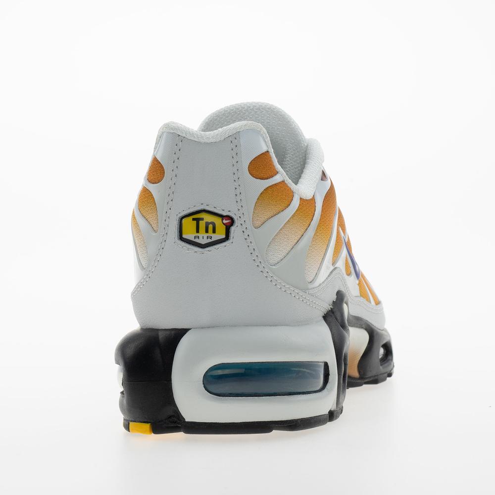 Buty męskie Nike Air Max Plus FZ3308-700 - multikolor