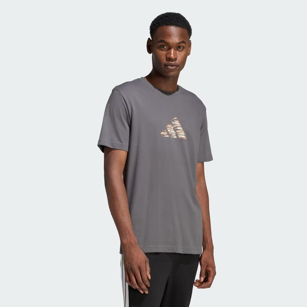 Koszulka męska adidas Camo Expolorer Graphic JZ7501 - szara