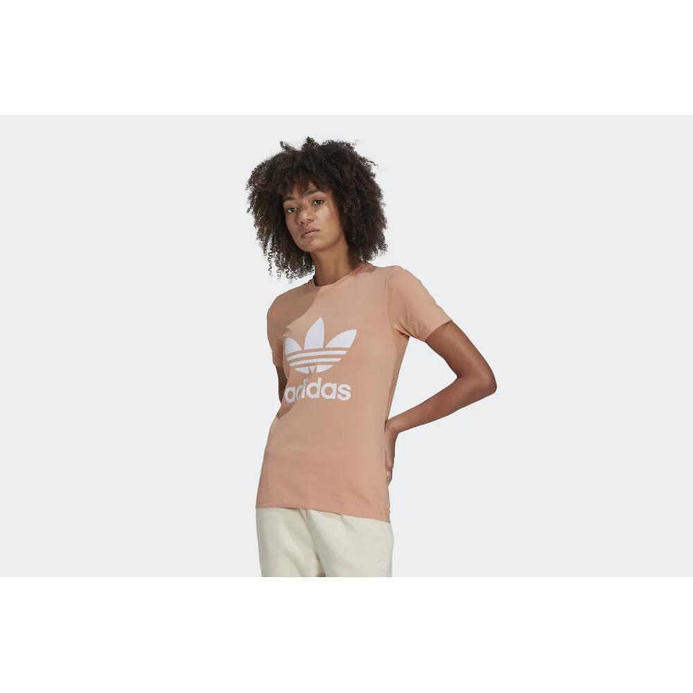 adidas Originals Adicolor Classics Trefoil Tee > H33566