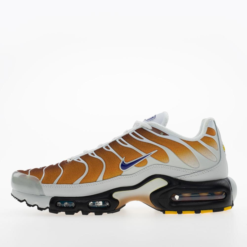 Buty męskie Nike Air Max Plus FZ3308-700 - multikolor