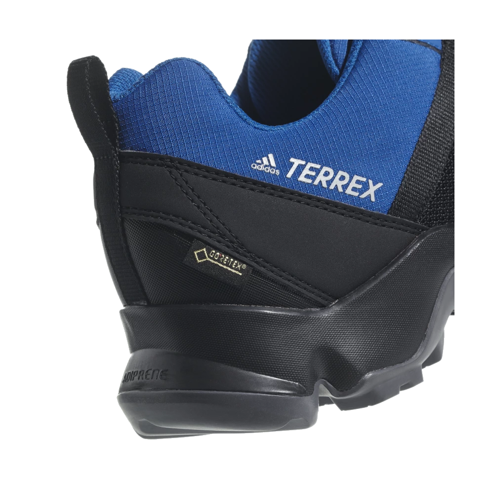 adidas Terrex AX2R GTX AC8032