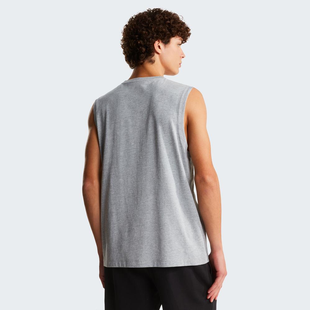 Koszulka męska The North Face Evolution Simple Dome 0A8FD4CQO1 - szara