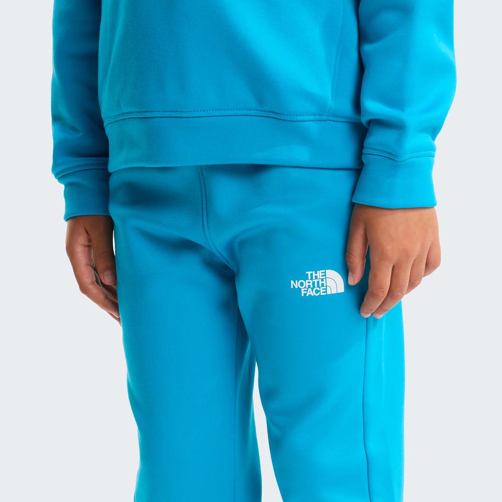 Dres dziecięcy The North Face Performance 0A8CV0D7R1 - niebieski