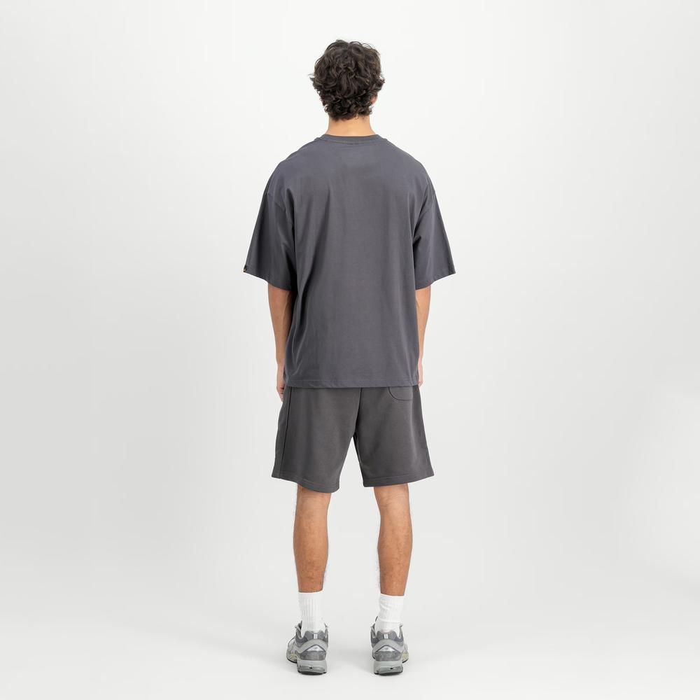 Koszulka męska Alpha Industries Studio Edition 156550684 - szara