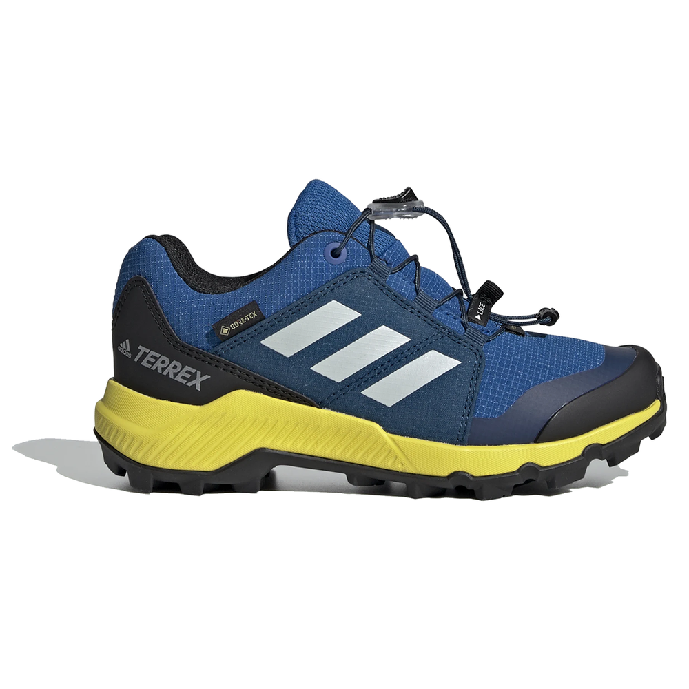 adidas Terrex GTX BC0599