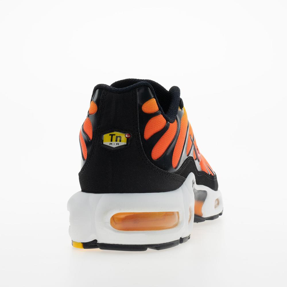 Buty męskie Nike Air Max Plus HF0552-001 - multikolor