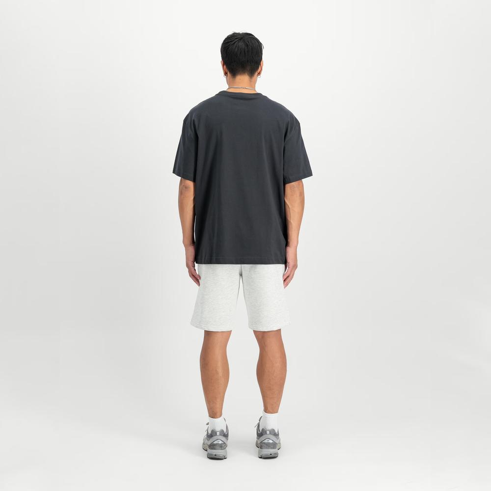 Spodenki męskie Alpha Industries Small Logo II 156367752 - szare