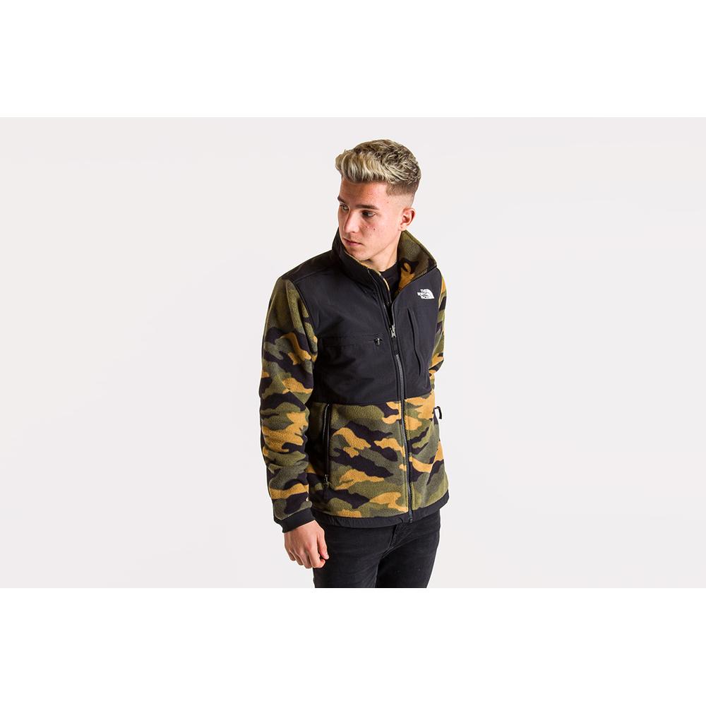 THE NORTH FACE DENALI 2 > T93XAUFQ9