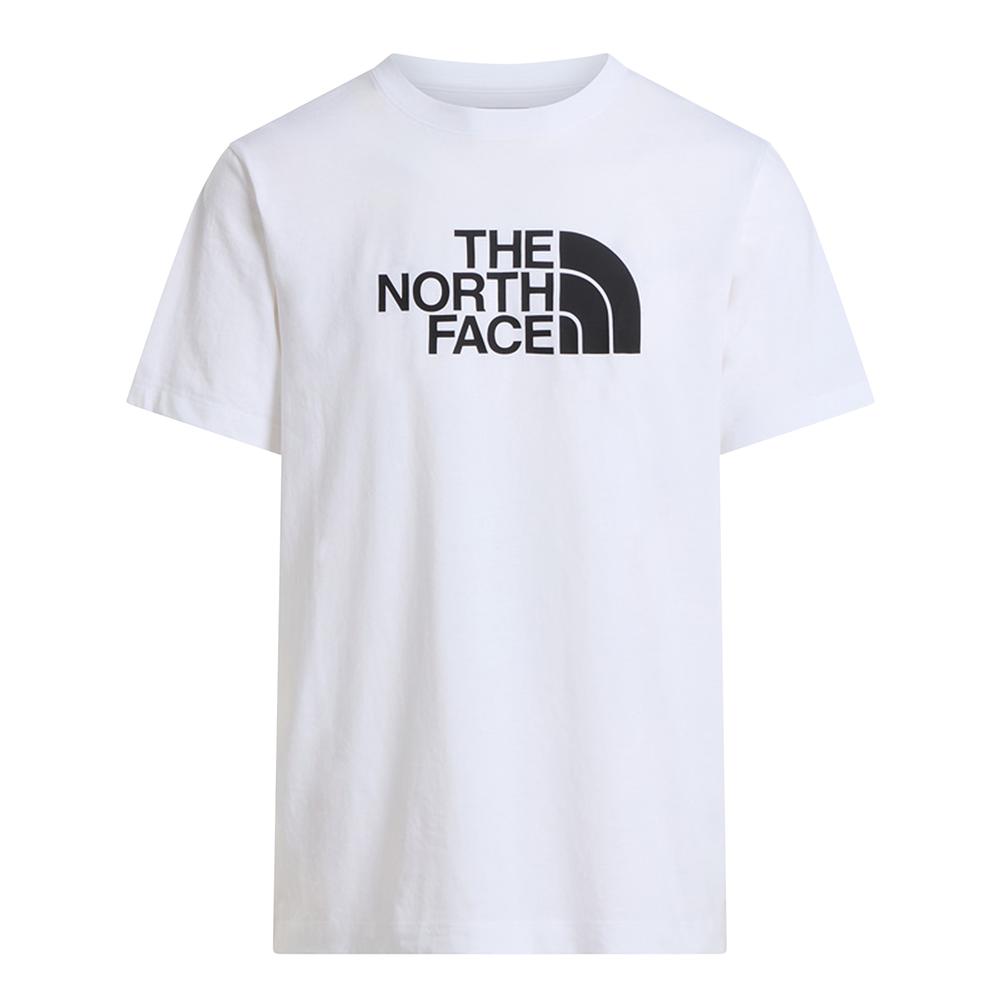 Koszulka męska The North Face Evolution Half Dome 0A8B6JLA91 - biała