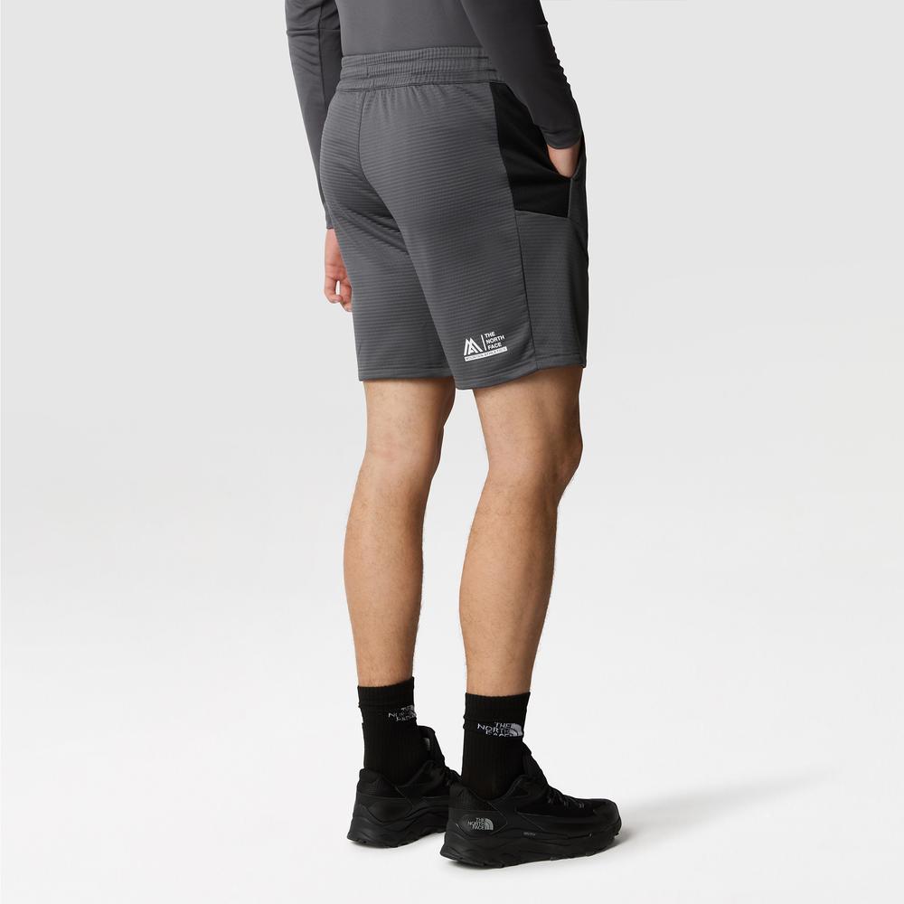 Spodenki The North Face Fleece Short 0A87J4WUO1 - szare