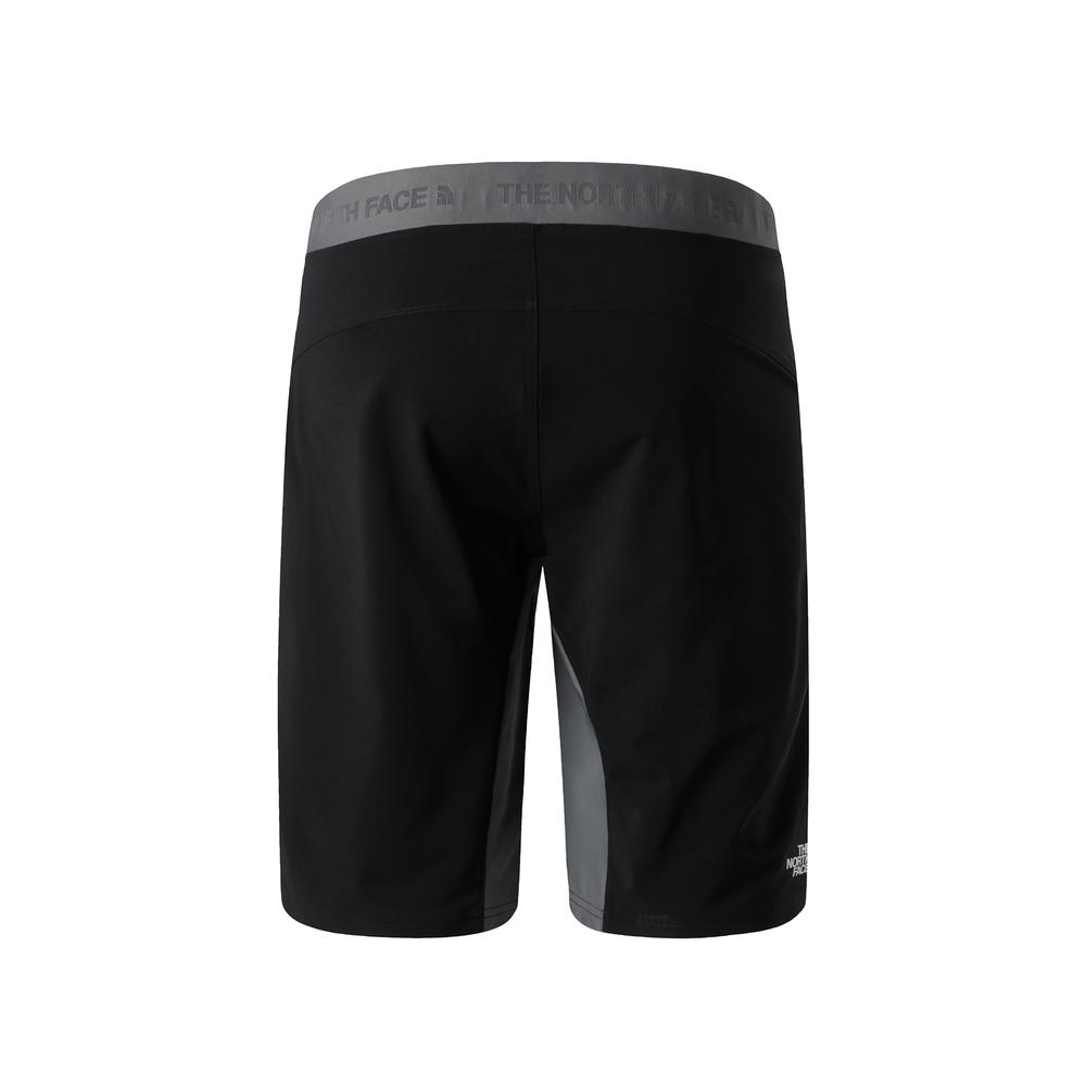 Spodenki męskie The North Face Felik 0A825XRPI1 - szare