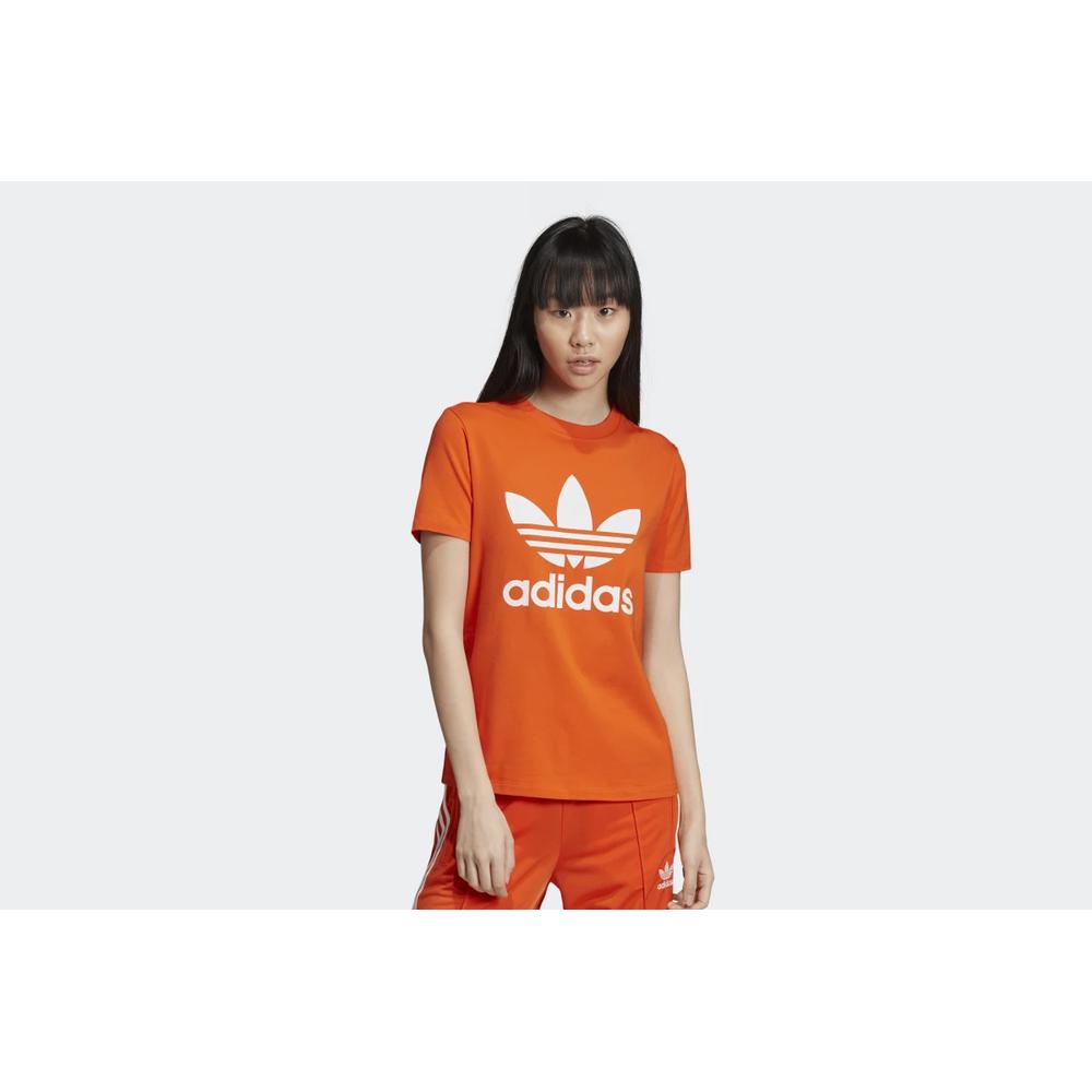 ADIDAS TREFOIL TEE > ED7494