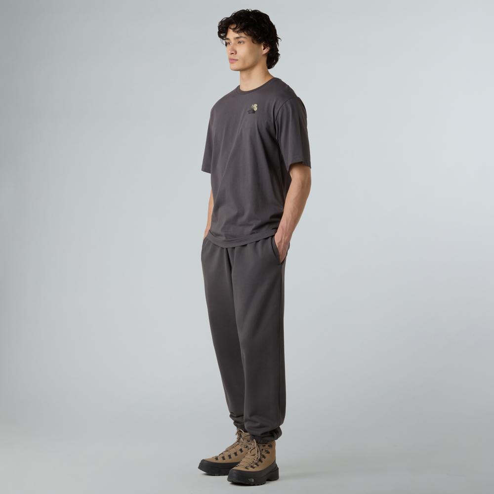 Koszulka męska The North Face Dome Flower 0A8EGXRHI1 - szara