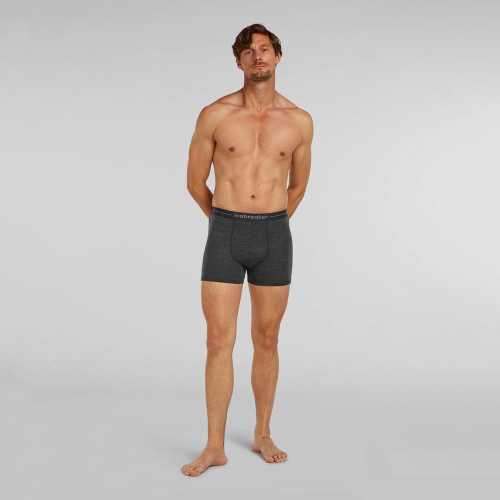 Bokserki Icebreaker Anatomica Boxers 1030290111 - szare