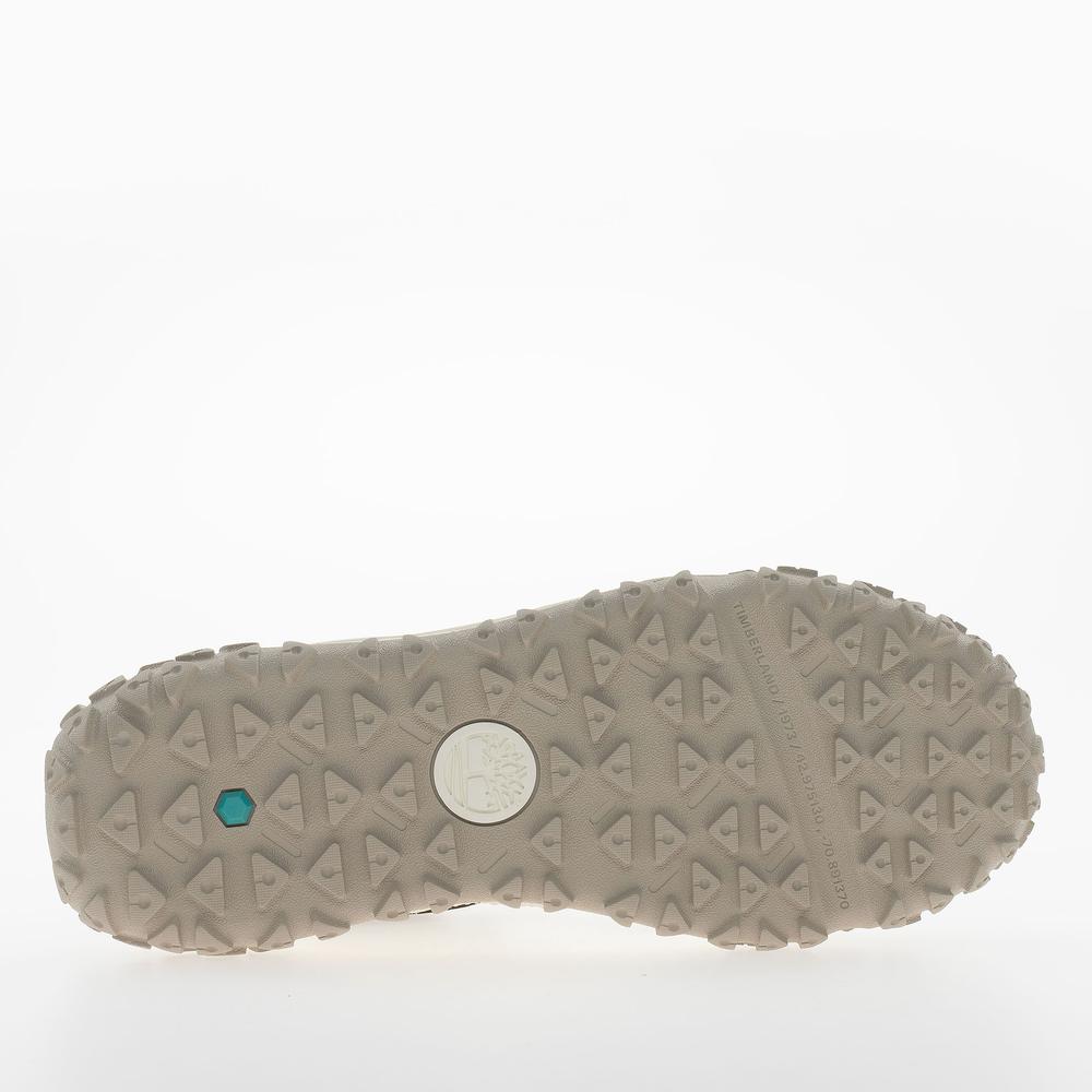 Buty męskie Timberland Greenstride Motion 6 Mid Lace TB0A6CW1EM51 - multikolor