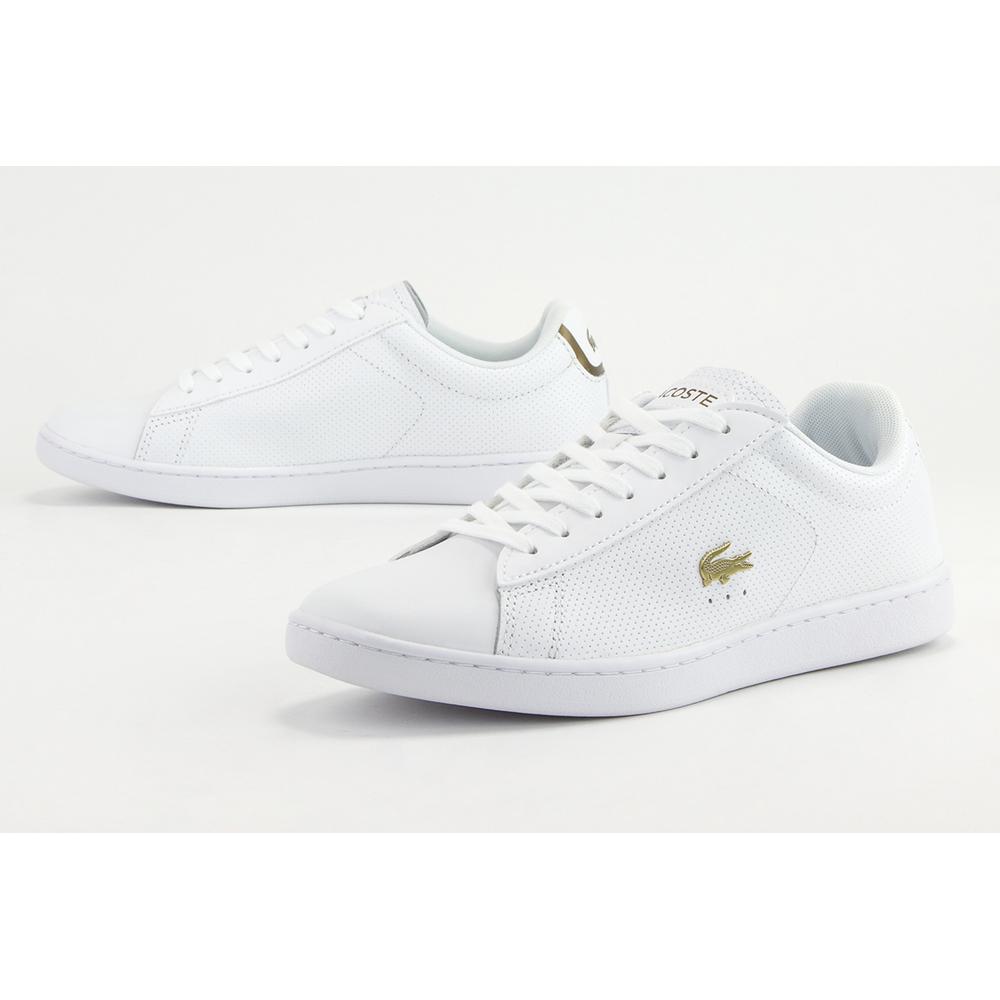 LACOSTE CARNABY EVO 0120 1 SFA > 740SFA000721G