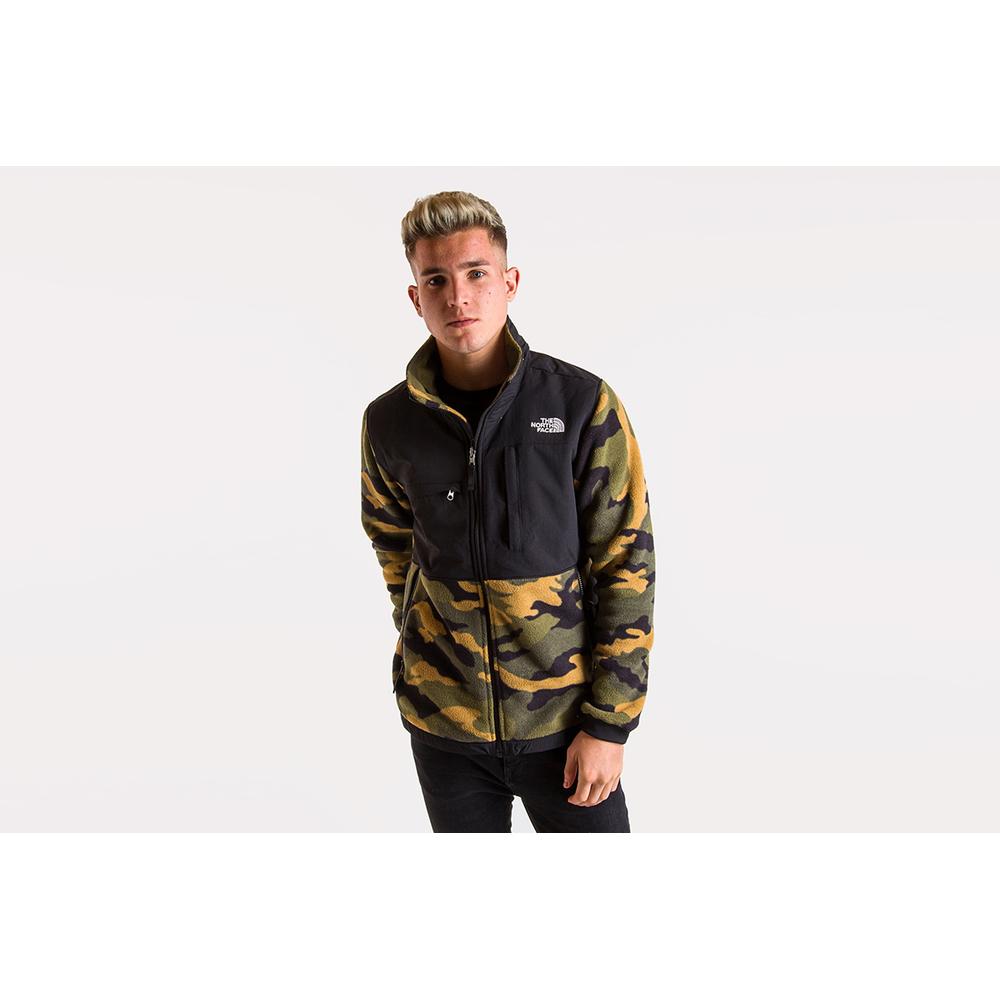 THE NORTH FACE DENALI 2 > T93XAUFQ9