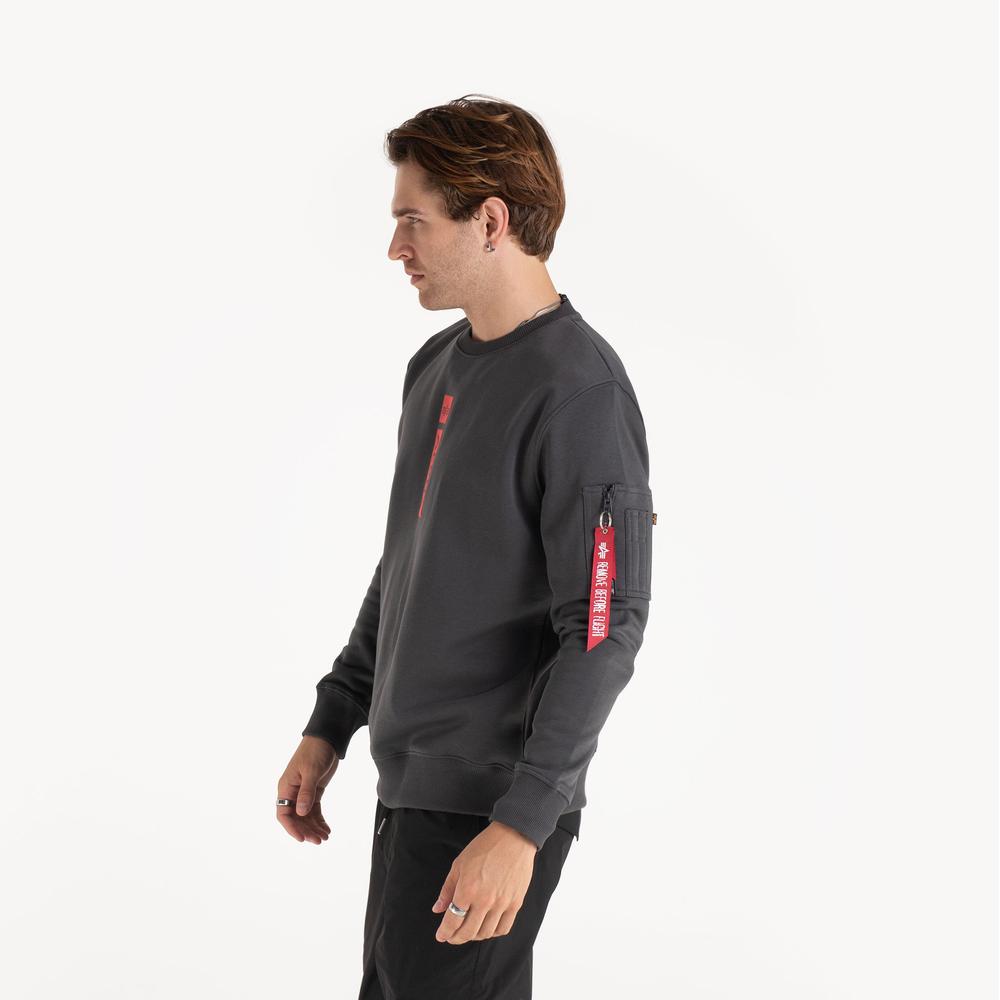 Bluza Alpha Industries RP 146305684 - szara