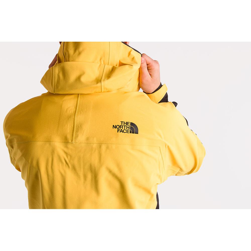 THE NORTH FACE APEX FLEX GTX 2.0 > T93BQ8LR0