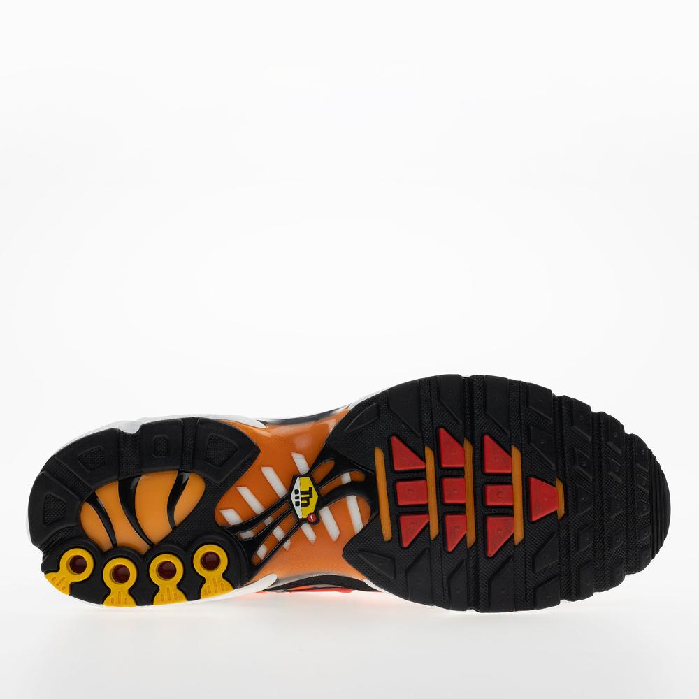 Buty męskie Nike Air Max Plus HF0552-001 - multikolor
