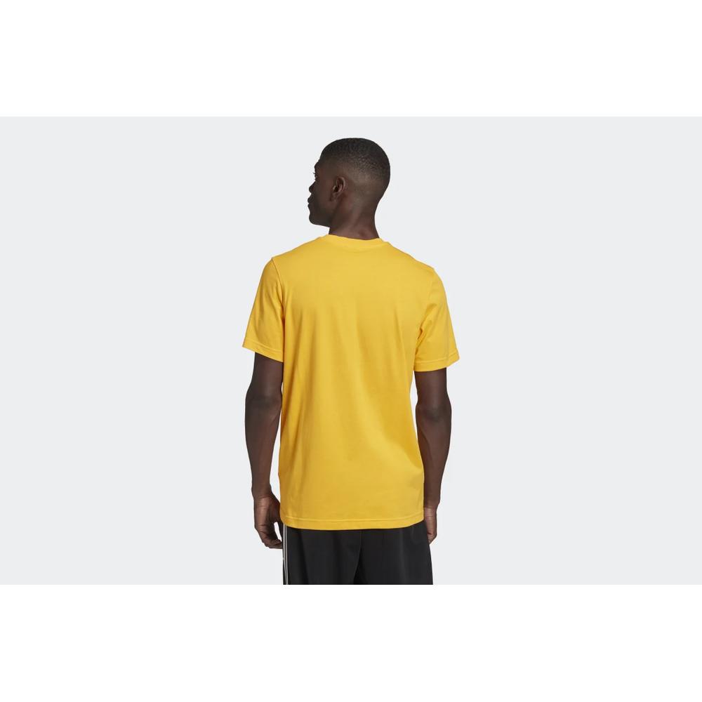 ADIDAS TREFOIL TEE > GD9913