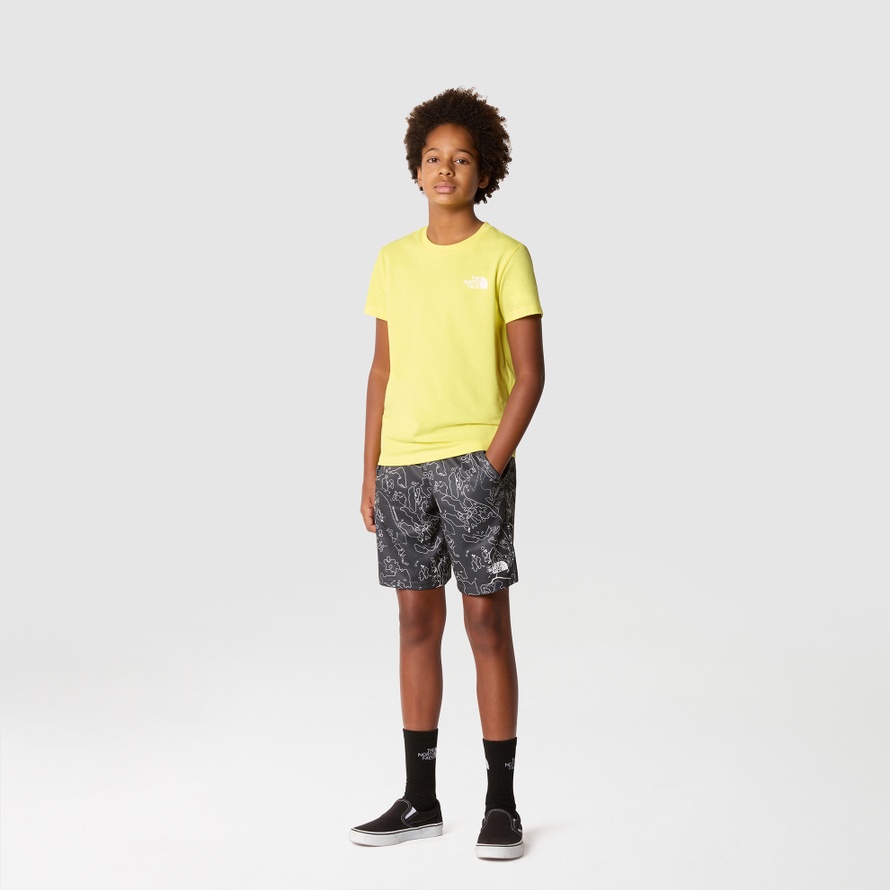 Koszulka The North Face Simple Dome 0A87T4QIF1 młodzieżowa