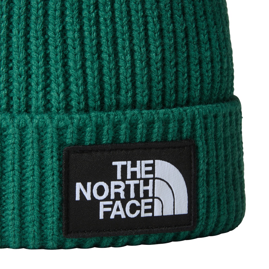 Czapka The North Face Logo Box Beanie 0A3FJXNL11 unisex, zielona