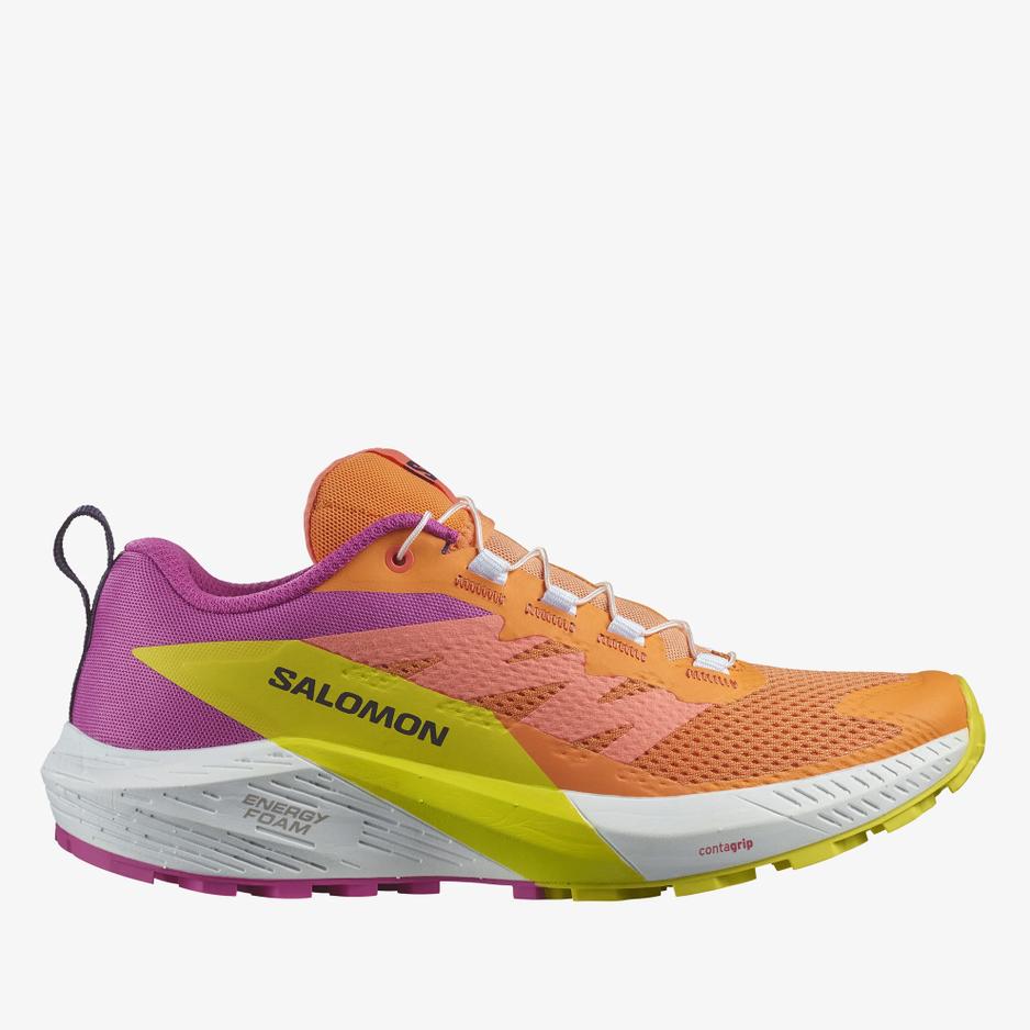 Buty Salomon Sense Ride 5 L47459000 - multikolor