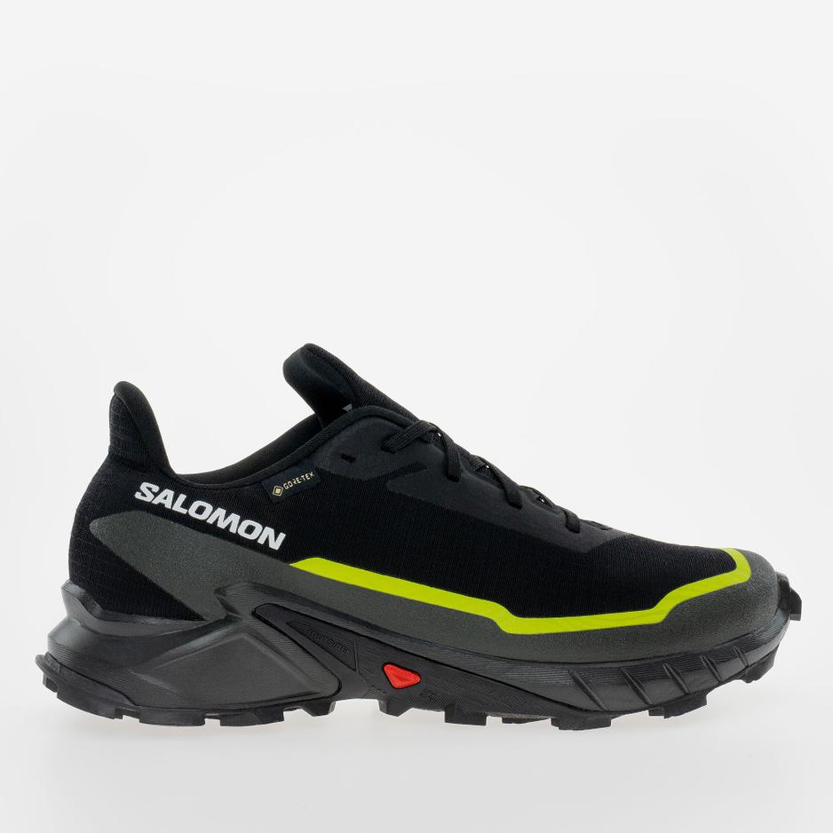 Buty Salomon Alphacross 5 Gore-Tex L47460400 - czarne