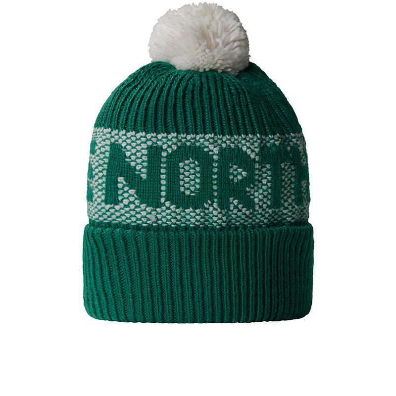 Czapka The North Face Retro Cabin 0A88QW84O1 - zielona