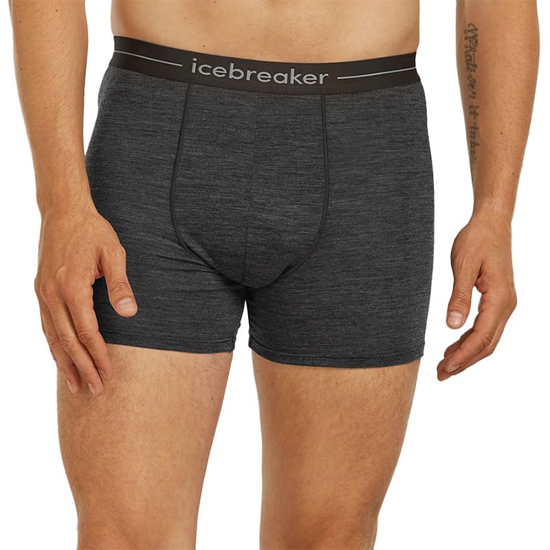 Bokserki Icebreaker Anatomica Boxers 1030290111 - szare